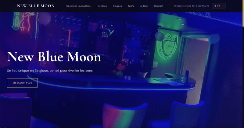 New Blue Moon - previzualizare proiect